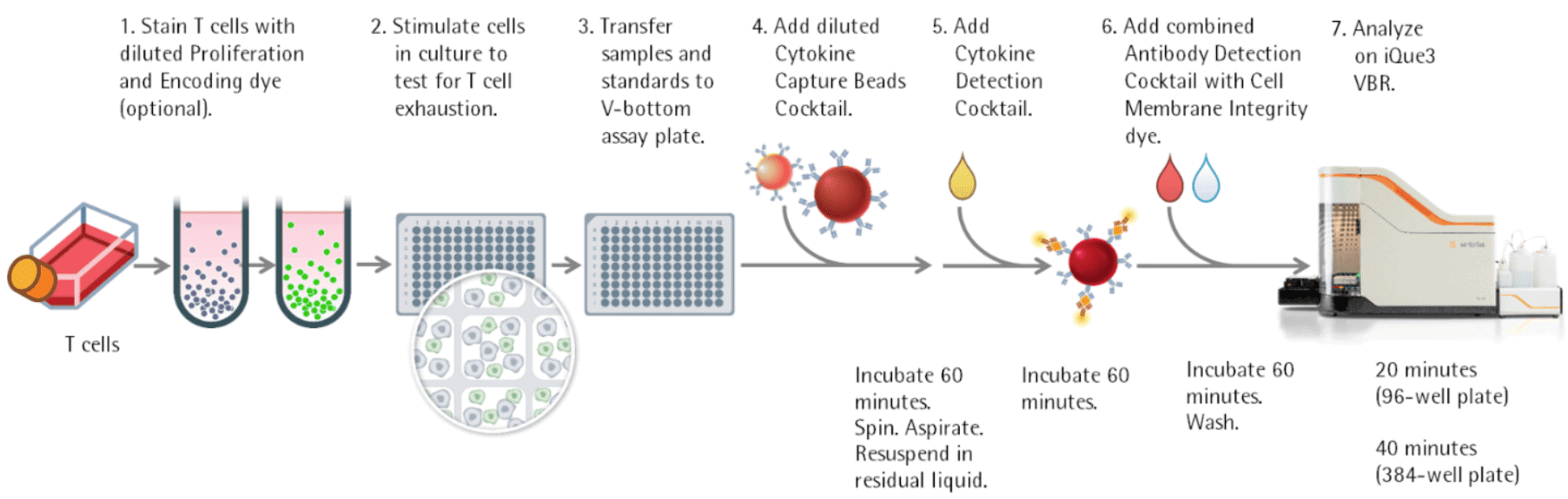Human T Cell Exhaustion Cell and Cytokine Profiling Kit Intellicyt